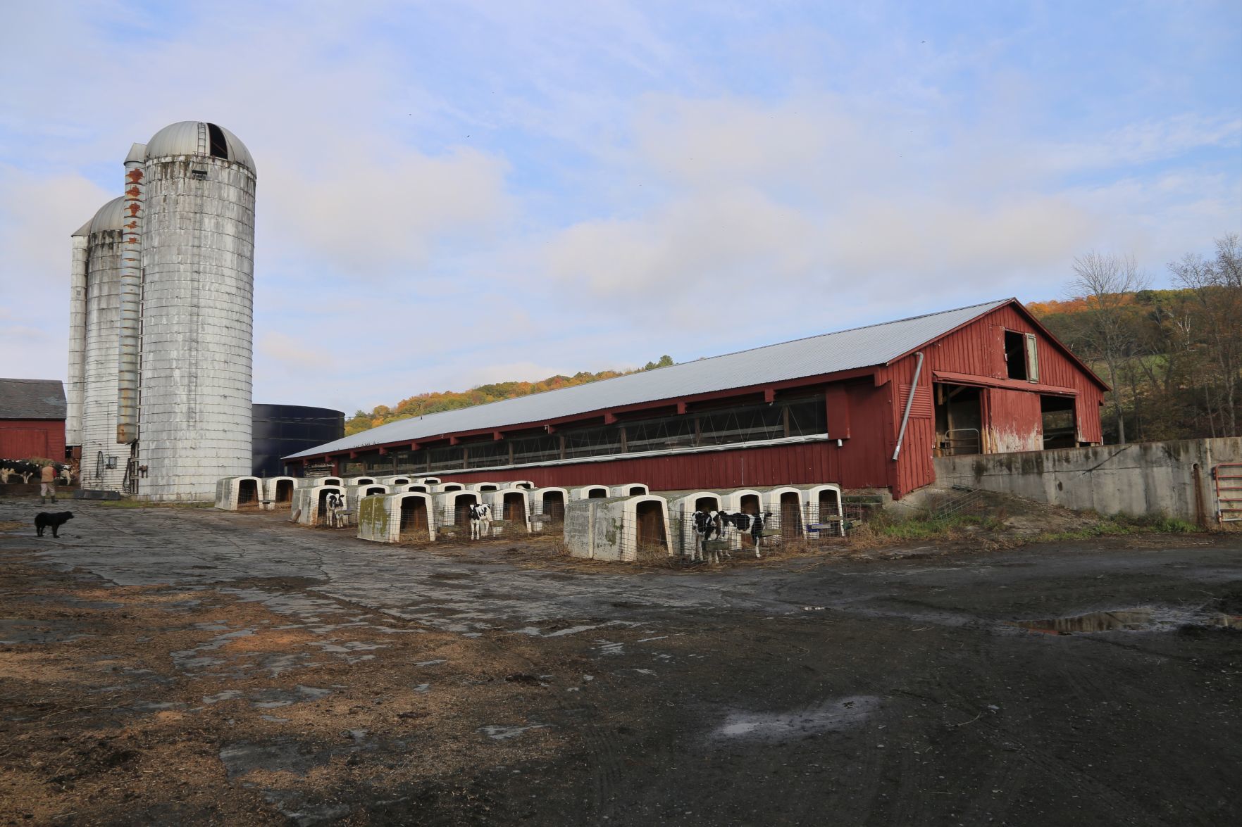 Hollister Brothers Farm